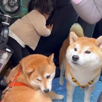 妹が初めての保育園へ