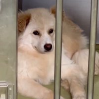 ぼーちゃんの変化