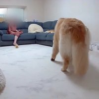 おからちゃんが立ち上がった！