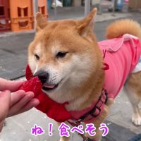 うにくんが食べた♡