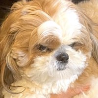 ブチギレ