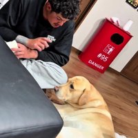 健気な姿にホッコリ