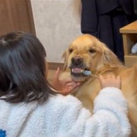 歯を出すルークくん