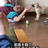 これからも楽しい毎日を送ってね