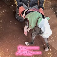 嬉しそうにそばへ♪