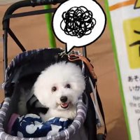 ミルクくんのナイスリアクション⑩