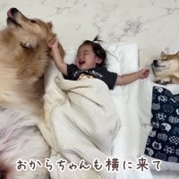 仲良しな光景にホッコリ