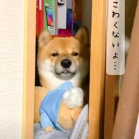 抱きしめたくなる可愛さ♡