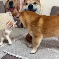 やっと遊べたよ！！