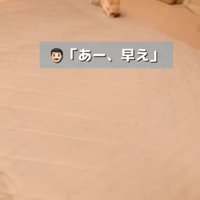 走る犬3