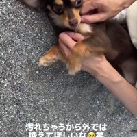 外では控えてほしいかも(笑)