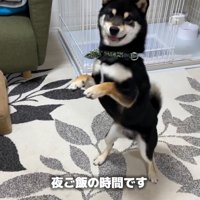 ご飯の時間はウキウキ♪