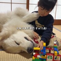 あたたかな空間にホッコリ