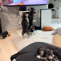 風船で遊ぶシーンになると…