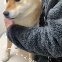 お利口すぎるころんちゃんでした♡
