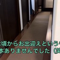 帰宅してもお出迎えナシ