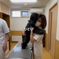 「ひどいよ～」