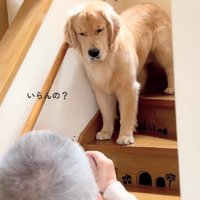いぶかしげな顔で硬直！