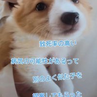 病気の疑いがあったそうです