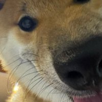 ドアップのうみくん