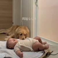 お兄ちゃんのような姿にホッコリ