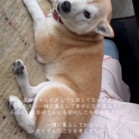 愛を注いだら、寄り添ってくつろぐように