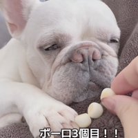 増えていくボーロ