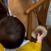 ふわふわ…♡