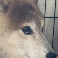 緊張感がすごい…！