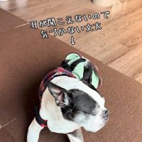 ぶんた君は気づいていません