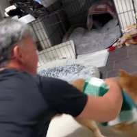 全然聞いてなかった！！