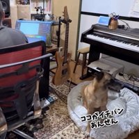 「怖かったわぁ」