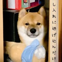 「怖くなんかないよ」