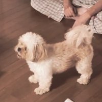 奇跡的に撮影していた