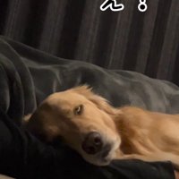 驚愕の寝顔に爆笑！！