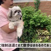 最後は抱っこで帰宅♪