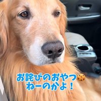 「ちょっと移動してね」