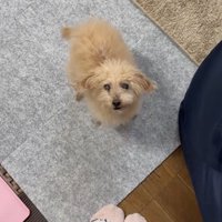 「おかえり！！」