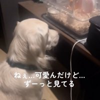 通じ合ってる？