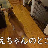 お姉ちゃんのそばへ