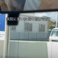 動物病院にやってきた