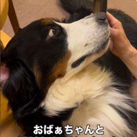「おばあちゃんの声がする！？」