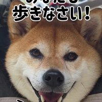 むぎちゃんと女の子2人のお散歩⑩