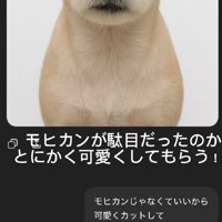 「とりあえず可愛くカットして」