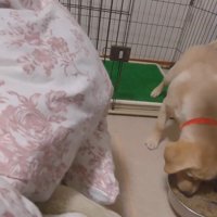 すんなり外へ♪