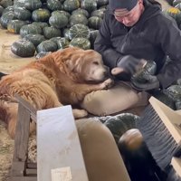 寝てしまったミントくん