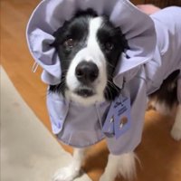 ばぶみ