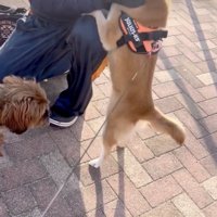 「会いたかったぁぁ」