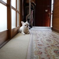 部屋の前で待機