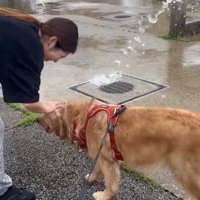 撫でられるラニーちゃん